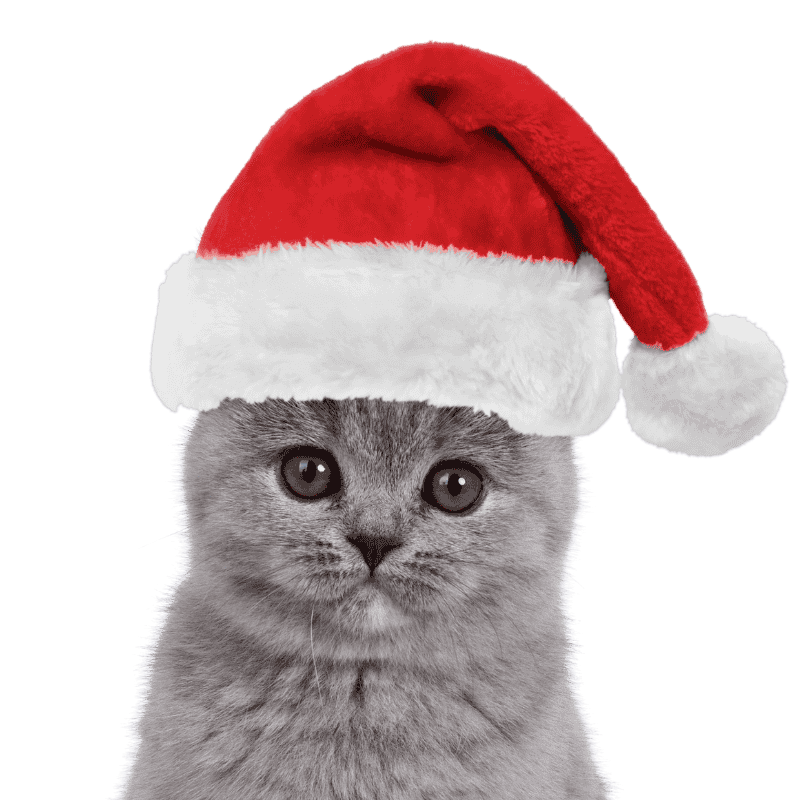 Weihnachtsmannmütze für Hunde und Katzen Weihnachtsmannmütze für Hunde und Katzen