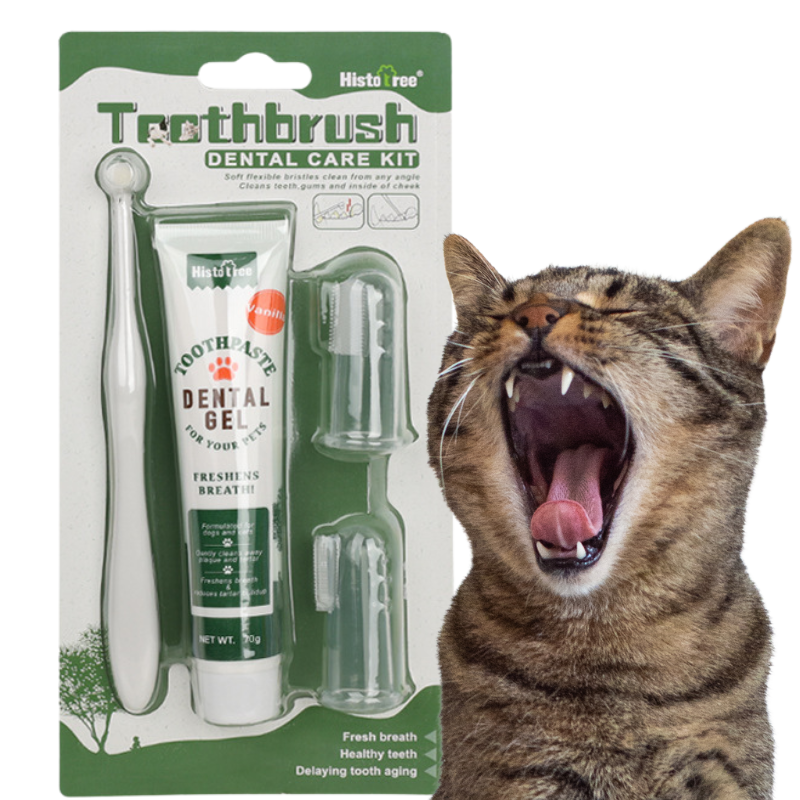 Komplettes Zahnpflegeset für Katzen: Zahnbürste, 2 Fingerbürsten und Vanille-Zahnpasta Komplettes Zahnpflegeset für Katzen: Zahnbürste, 2 Fingerbürsten und Vanille-Zahnpasta