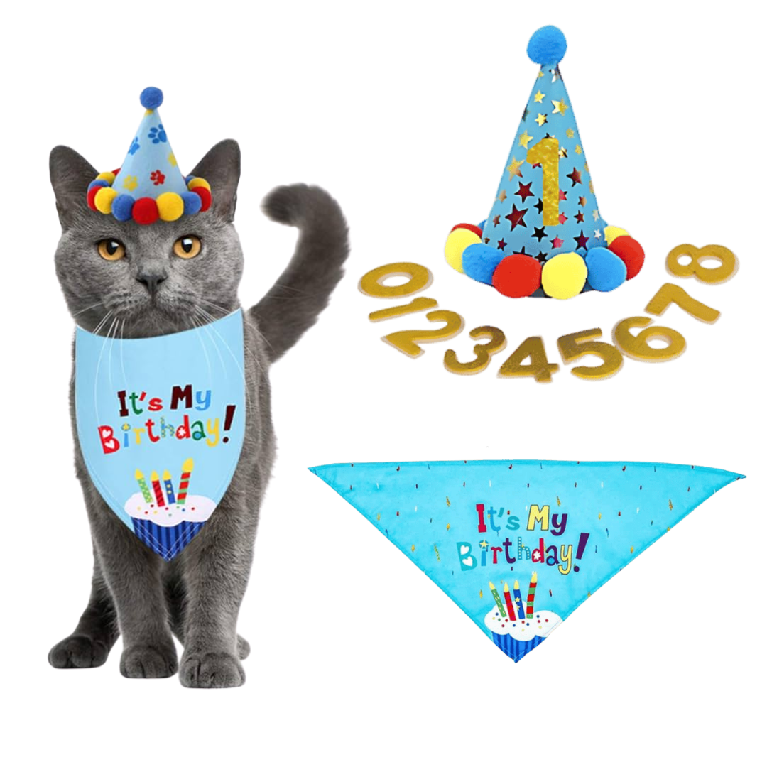 Bandana-Set für Katzengeburtstage Bandana-Set für Katzengeburtstage