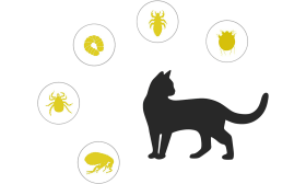 Natürliches Floh- und Zeckenhalsband für Katzen