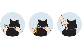 Natürliches Floh- und Zeckenhalsband für Katzen
