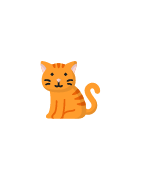 Katzen