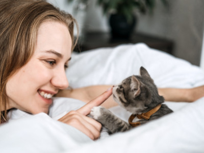  Eine neue katze adoptieren nach Hause bringen: Einen gemütlichen und sicheren Platz schaffen